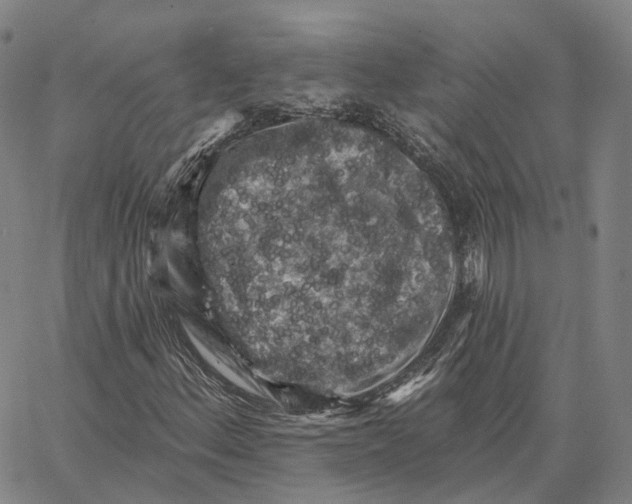 X0000062641156200601181737