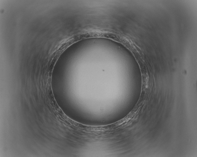 X0000062641157200601181737