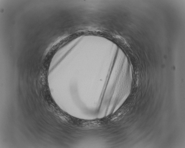 X0000062641159200601181737