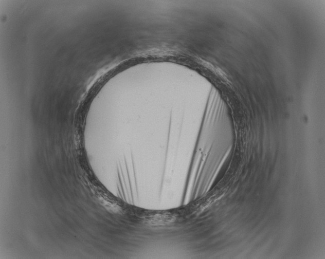 X0000062641160200601181737