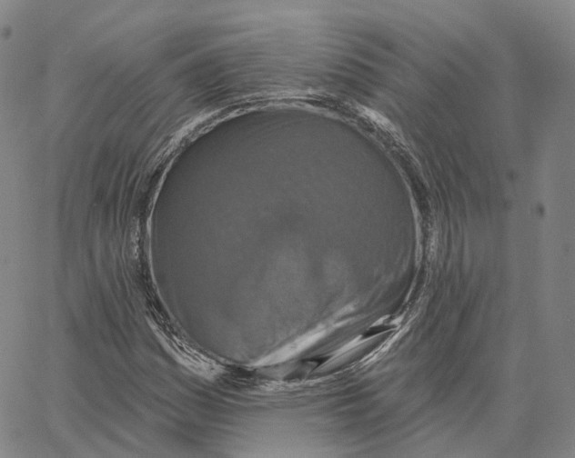 X0000062641161200601181737