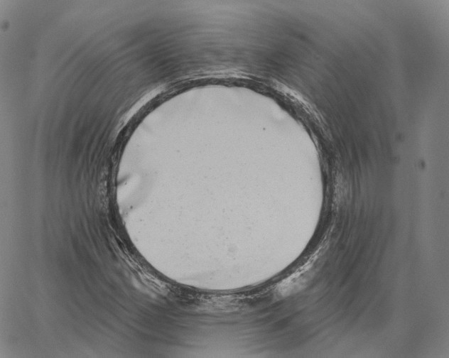 X0000062641162200601181737