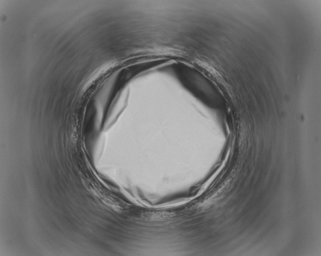 X0000062641163200601181737