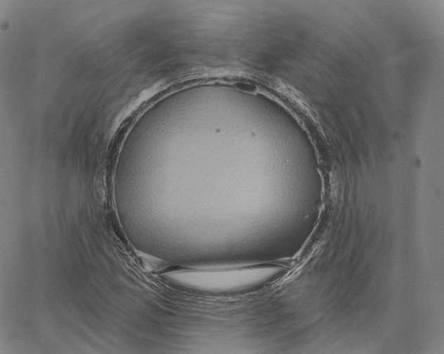 X0000062641165200601181737