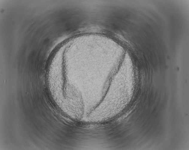 X0000062641166200601181737