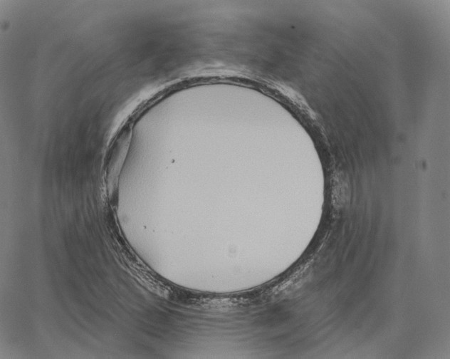 X0000062641167200601181737