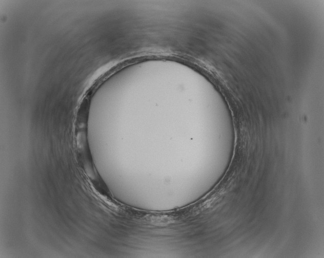 X0000062641168200601181737