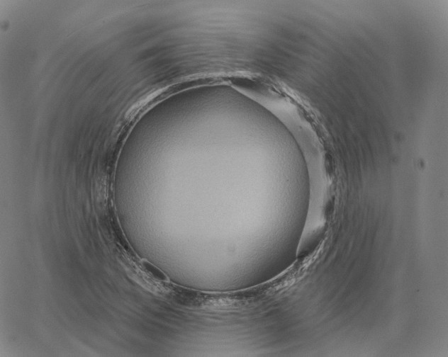 X0000062641169200601181737