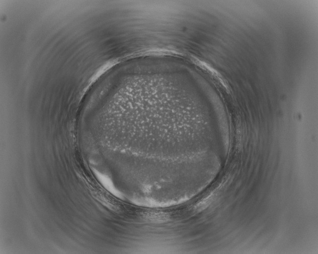 X0000062641170200601181737