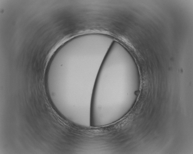 X0000062641173200601181737