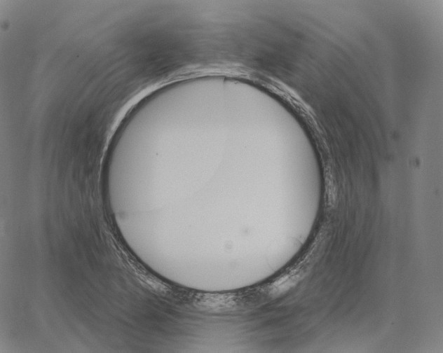 X0000062641174200601181737