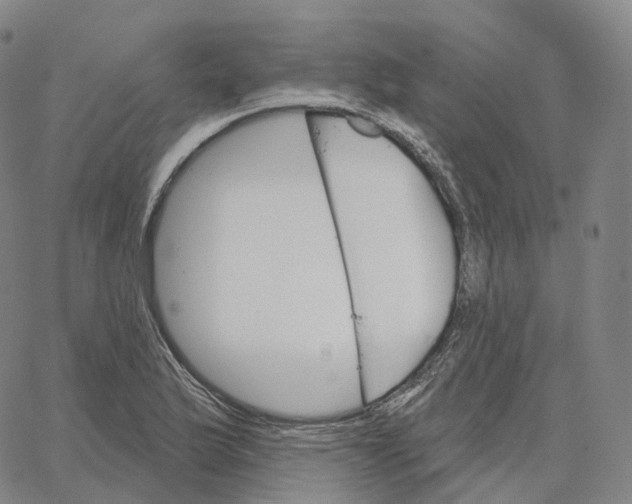 X0000062641175200601181737