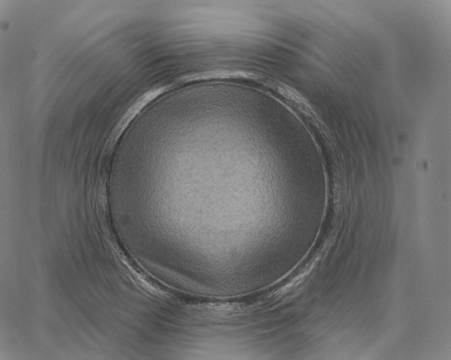 X0000062641177200601181737