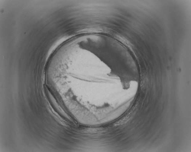 X0000062641179200601181737