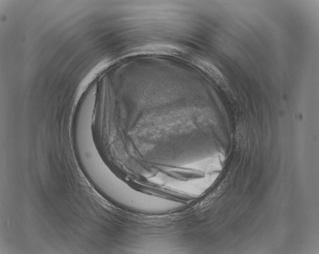 X0000062641180200601181737