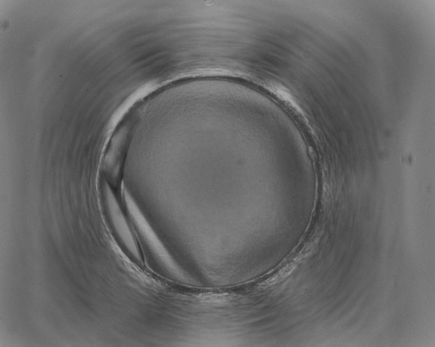 X0000062641181200601181737