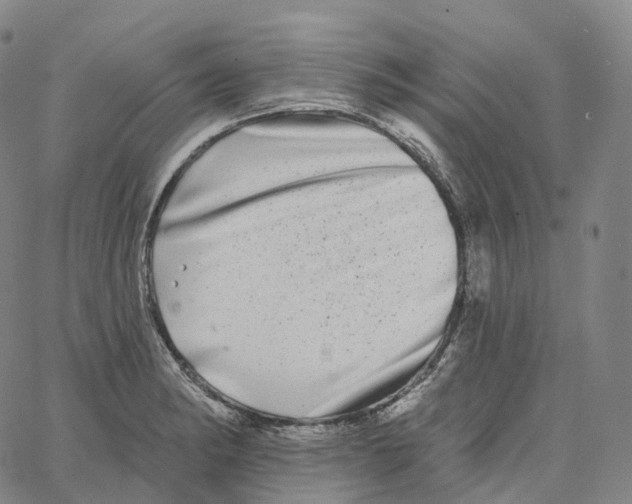 X0000062641182200601181737