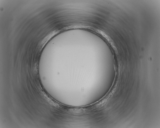 X0000062641185200601181737