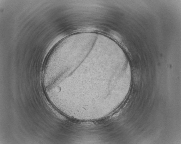 X0000062641186200601181737