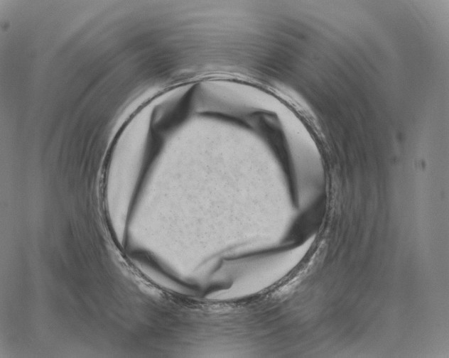 X0000062641190200601181737