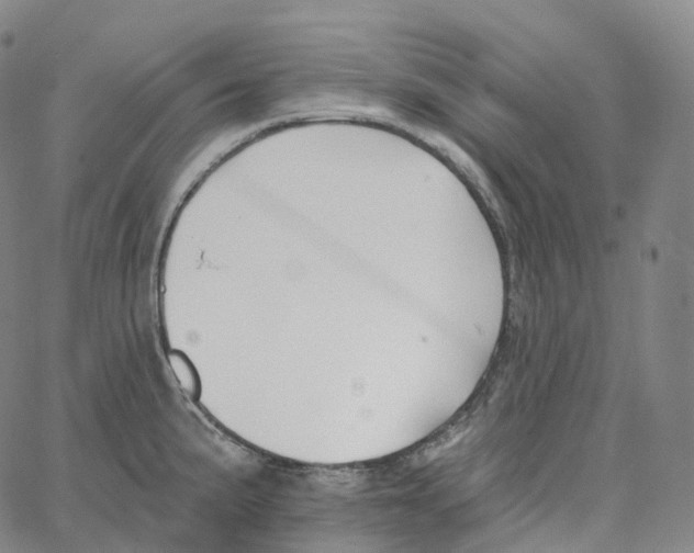 X0000062641191200601181737