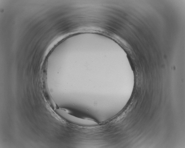 X0000062641192200601181737