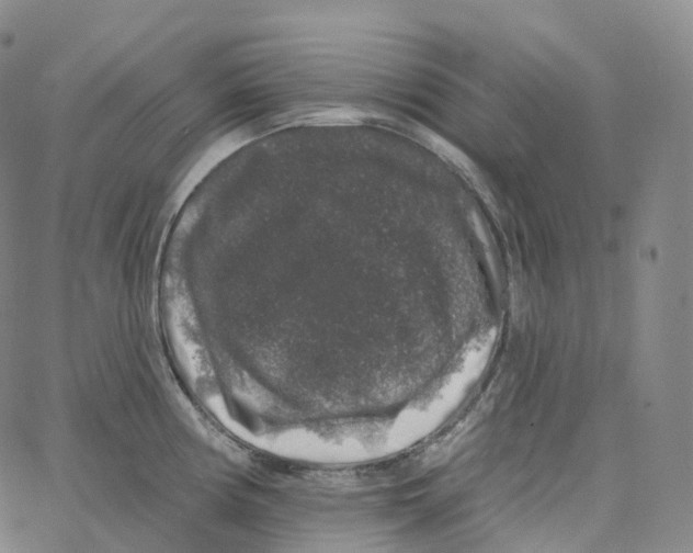 X0000062641194200601181737