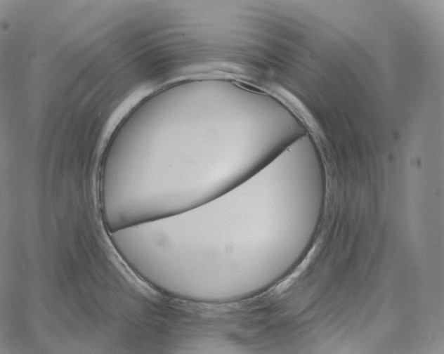 X0000062641196200601181737