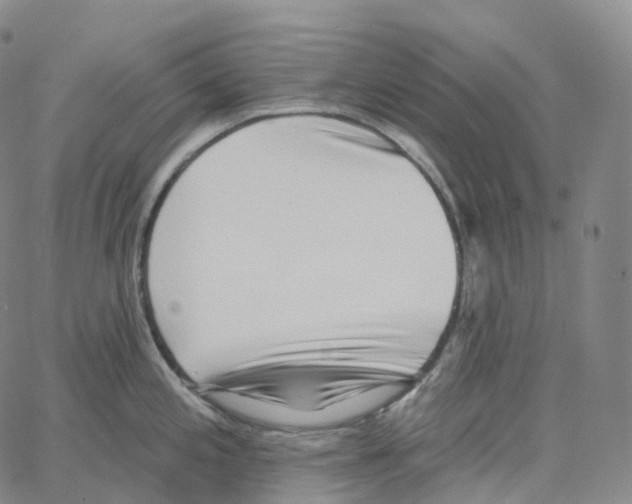 X0000062641197200601181737