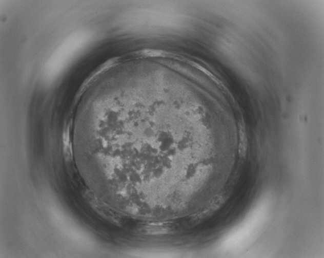 X0000062641198200601181737