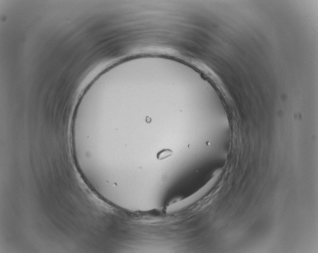 X0000062641199200601181737