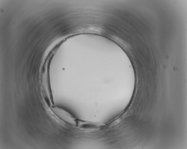 X0000062641200200601181737