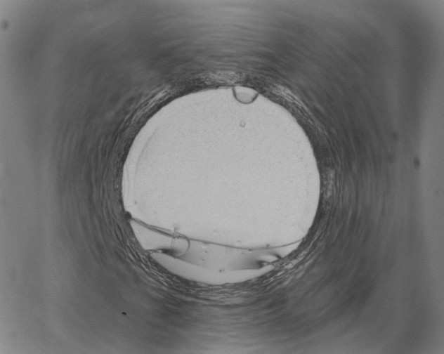 X0000062641201200601181736