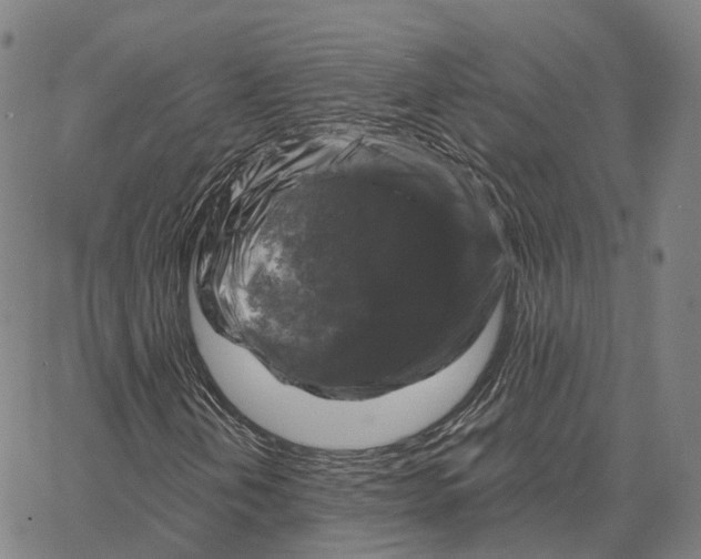 X0000062641202200601181736