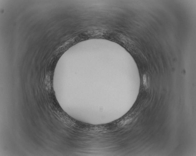 X0000062641203200601181736