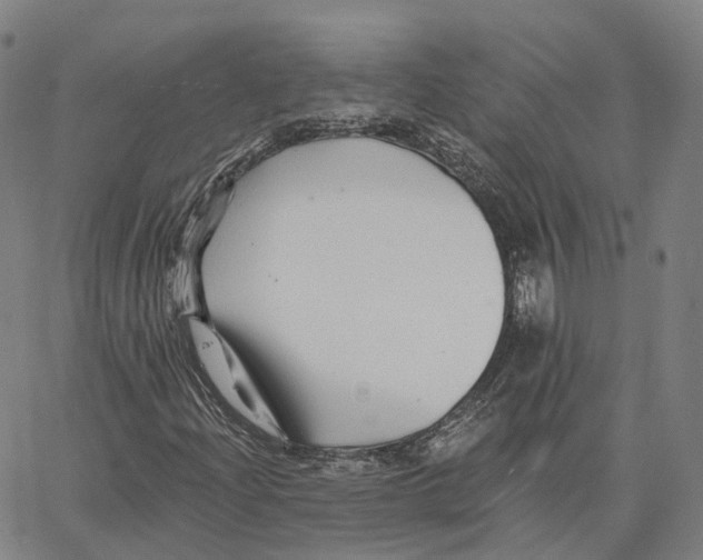 X0000062641204200601181736