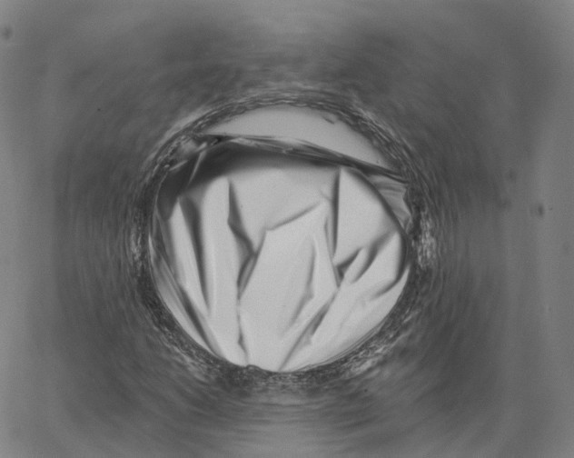 X0000062641206200601181736