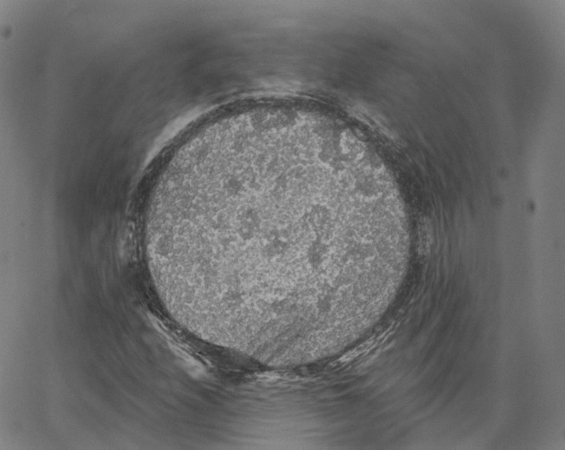 X0000062641208200601181736