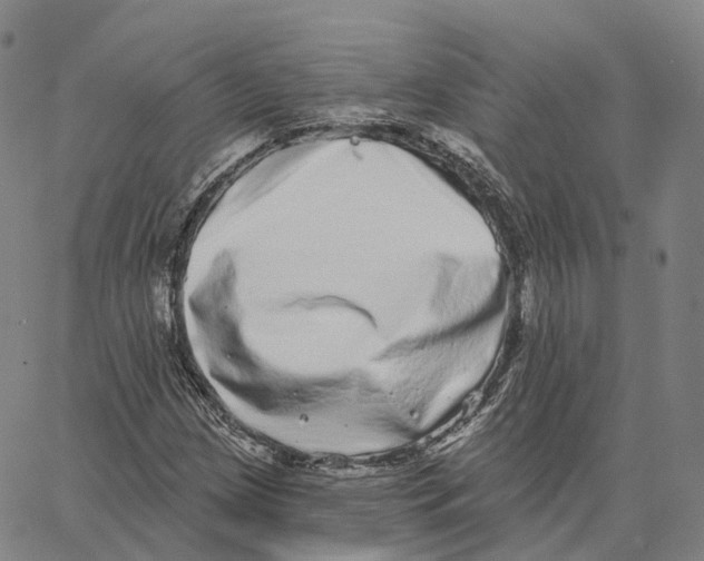 X0000062641209200601181736