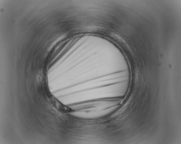 X0000062641210200601181736