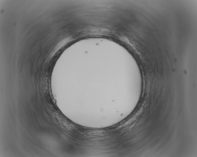 X0000062641211200601181736