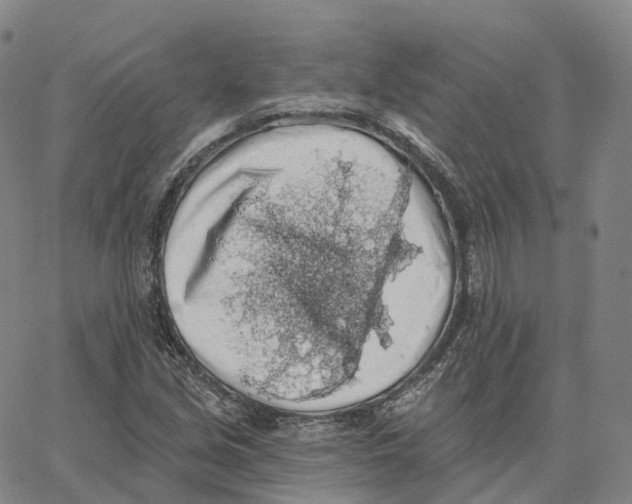 X0000062641213200601181736