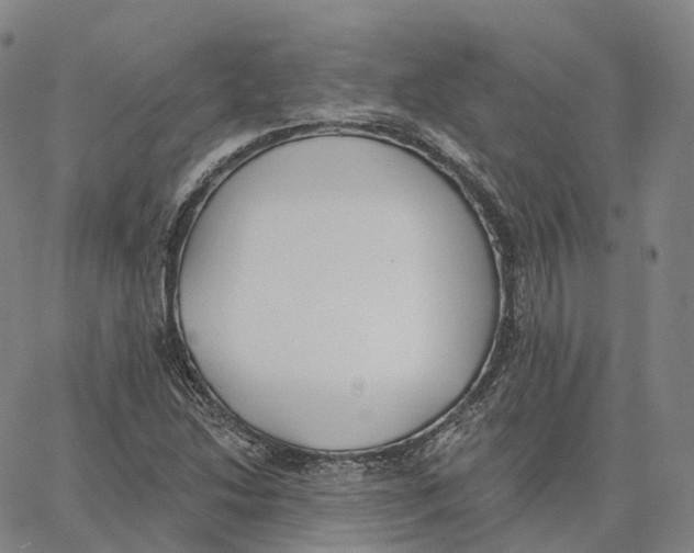 X0000062641214200601181736