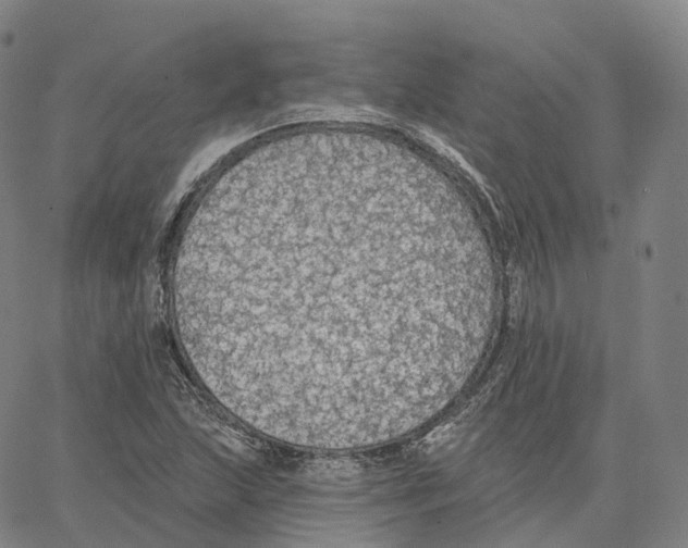 X0000062641215200601181736