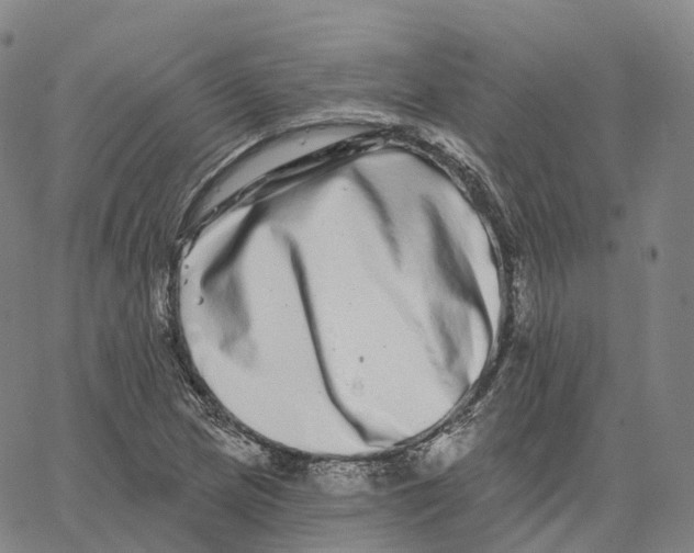 X0000062641217200601181736