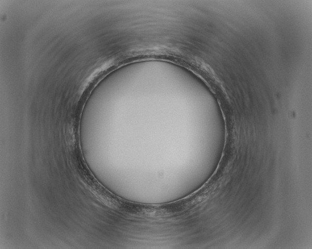 X0000062641218200601181736