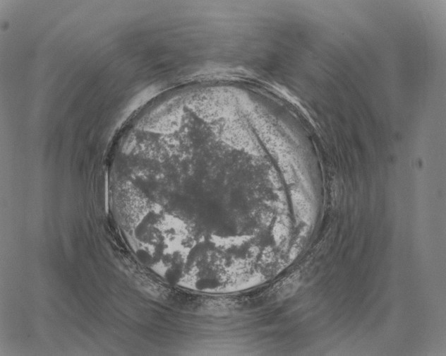 X0000062641219200601181736