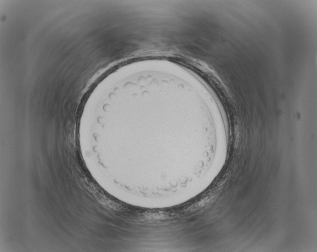 X0000062641220200601181736