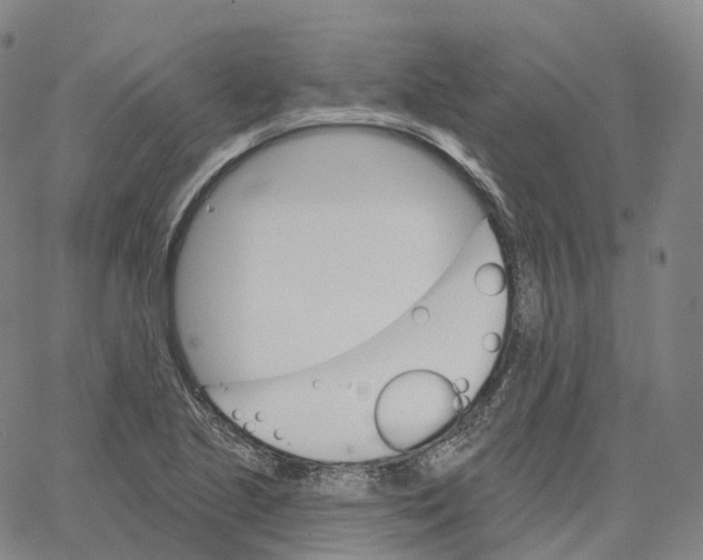 X0000062641221200601181736