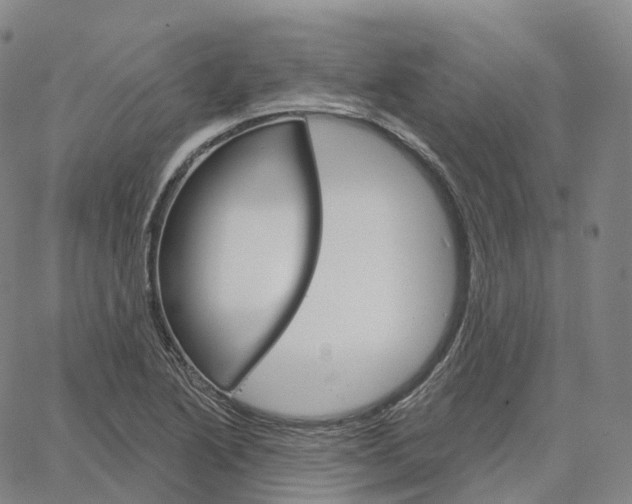 X0000062641222200601181736